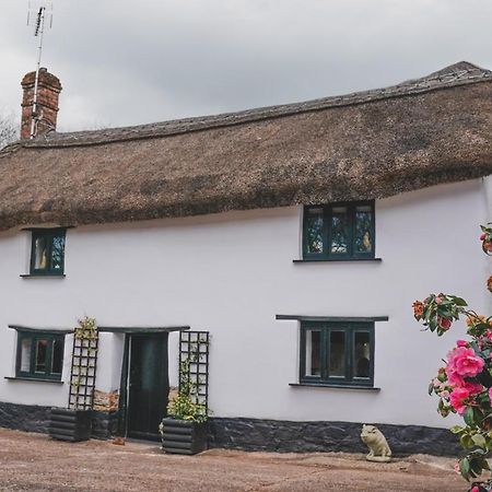 'The Cottage' オークハンプトン エクステリア 写真