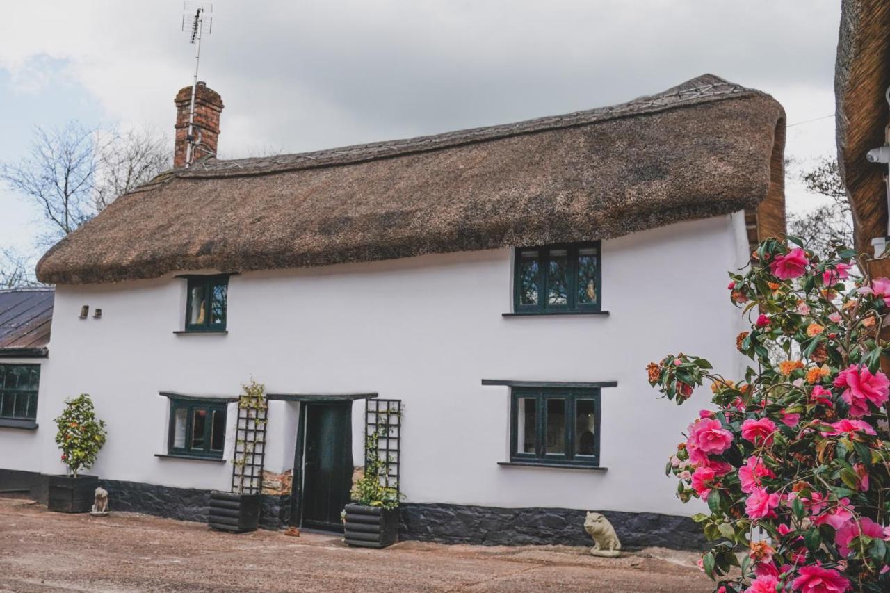 'The Cottage' オークハンプトン エクステリア 写真
