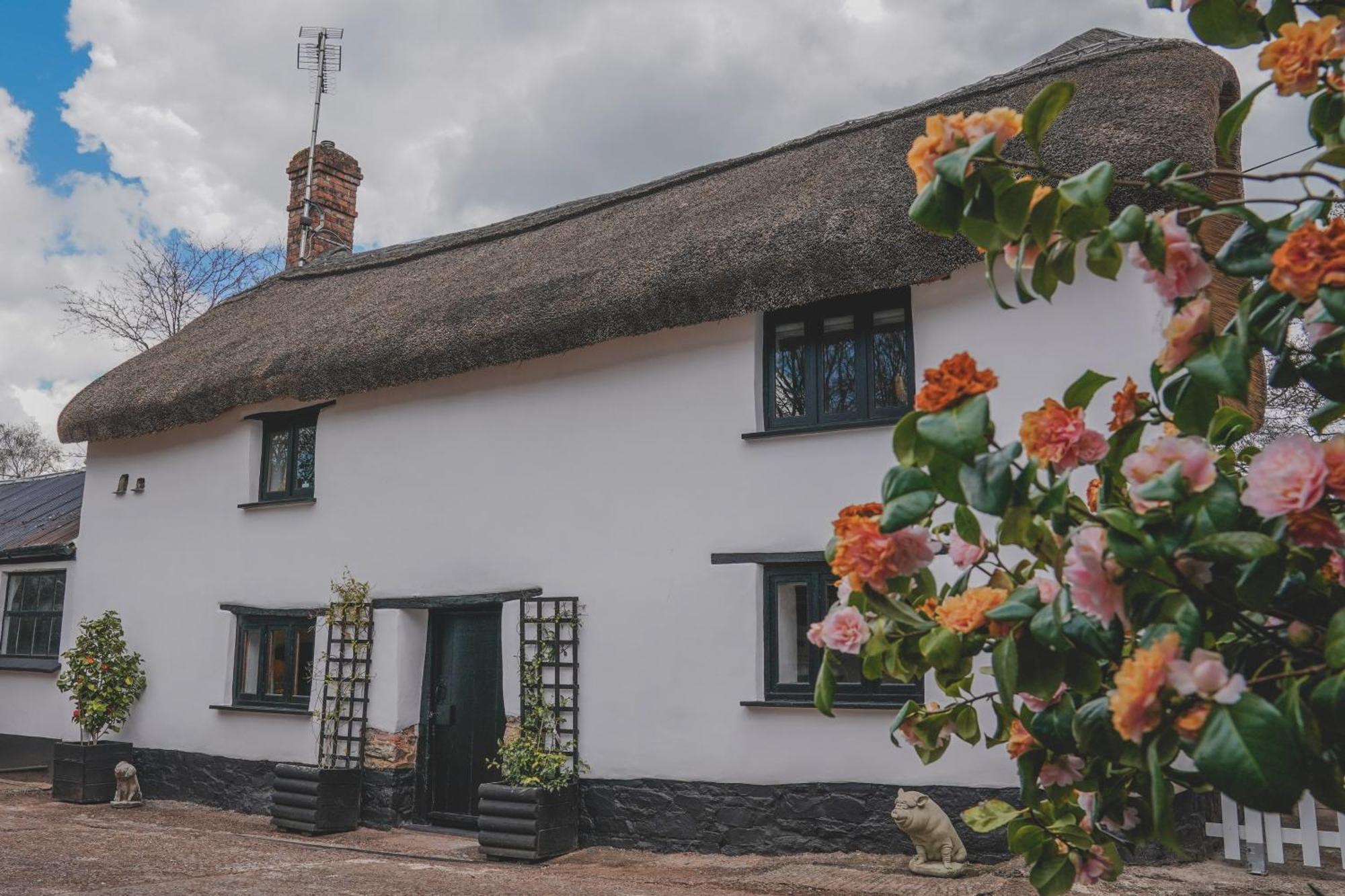 'The Cottage' オークハンプトン エクステリア 写真
